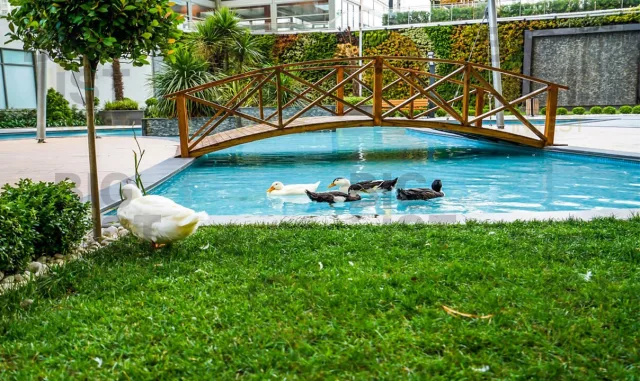 Property Next to Hospital in Esenyurt — photo 3
